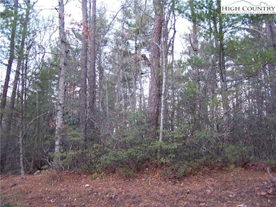 Tbd Roaring Ridge Rd, Deep Gap, NC 28618 - photo 3