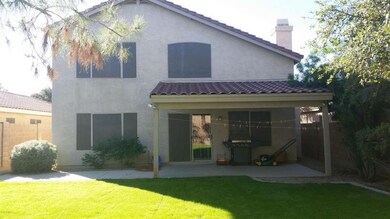 Back Yard 4