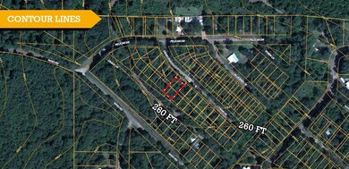 Crane Pr 4738, Jefferson, TX 75657 - photo 6