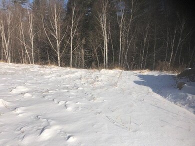 00 U S 302 unit Lot 2, Glen, NH 03838 - photo 4