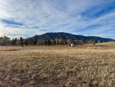 160 San Badger Dr, Hailey, ID 83333 - photo 4