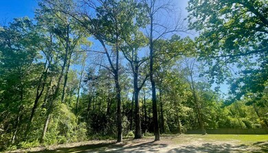 000 Woodlands Trace, Hattiesburg, MS 39402 - photo 7