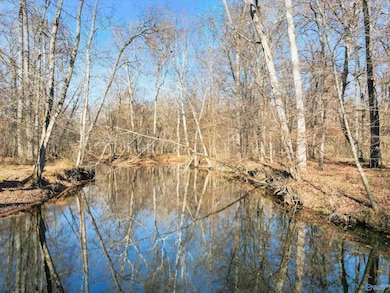 343 Mccutcheon Ln, Toney, AL 35773 - photo 3