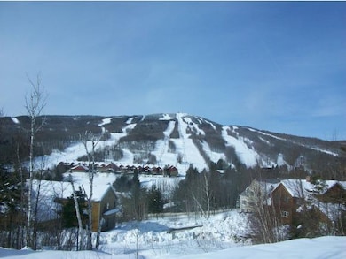 B Pinnacle View Dr unit B, Dover, VT 05356 - photo 6