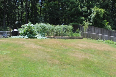 IMG_1153 - Copy (2)