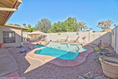 Lagoon Style Pool