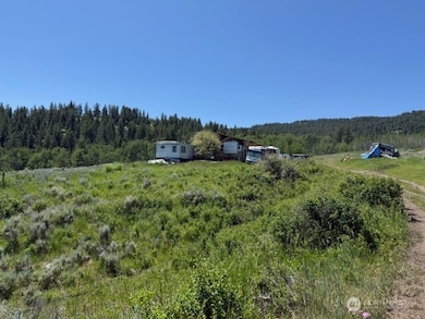 111 Tbd Ellemeham Ridge Rd, Oroville, WA 98844 - photo 3