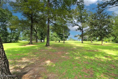 165 Tom Jones Rd, Lucedale, MS 39452 - photo 4