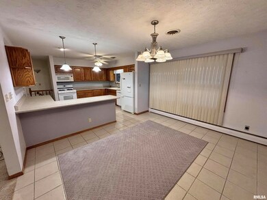 1401 6th St unit A, Orion, IL 61273 - photo 6