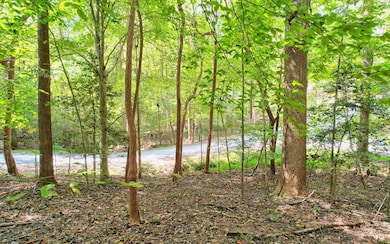 0 Oak Hollow Ct unit 328869, Ellijay, GA 30540 - photo 3