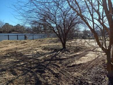 4009 Diann Dr, Granbury, TX 76049 - photo 4