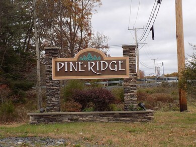 1003 Pine Ridge, Pine Ridge, PA 18324 - photo 5