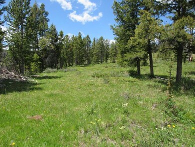 Mtn Maid A Quartz Hill Rd, Wise River, MT 59762 - photo 4