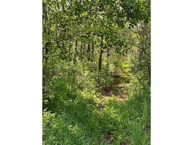 TBD 140th Street St, Amery, WI 54001 - photo 4