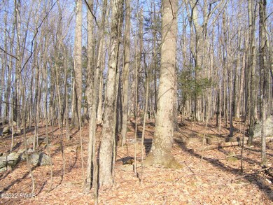 631-635 Upper Playground Trail, Hawley, PA 18428 - photo 4