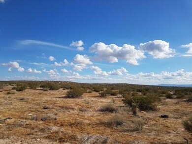 00 Vivana, Horizon City, TX 79928 - photo 5