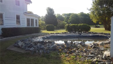 koi pond