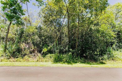 0 S Nenue St unit 725902, Pahoa, HI 96778 - photo 4