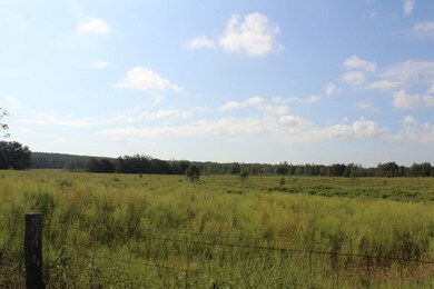 Huge deer travel through these fields headed to th