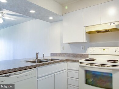 35979 Condo Dr unit B303, Rehoboth Beach, DE 19971 - photo 4