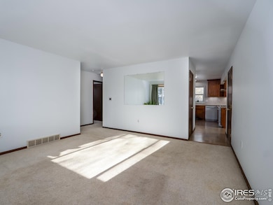 14 Daisy Ct, Windsor, CO 80550 - photo 5