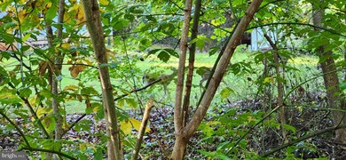 0 Wilson Ln unit VAWR2009114, Front Royal, VA 22630 - photo 5