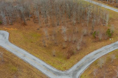 0 Hovering Hawk Dr unit 1329187, Jasper, TN 37347 - photo 3