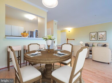 4667 Longstreet Ln unit 206, Alexandria, VA 22311 - photo 7