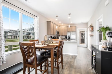 1053 E 117th Ln, Crown Point, IN 46307 - photo 7