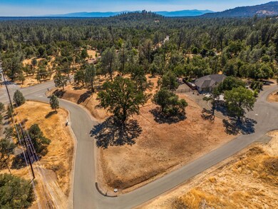 9440 Irish Creek Ln, Redding, CA 96001 - photo 5