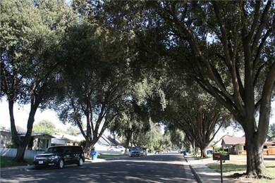 CHARMING SHADED STREET