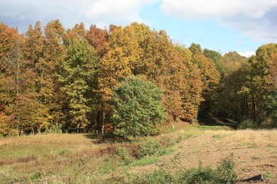 IMG_3504[1]