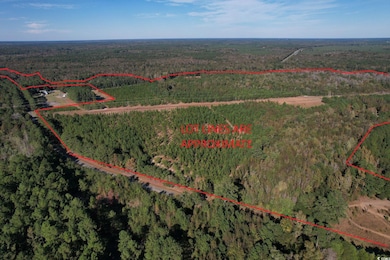 TBD Sand Plant Rd, Nichols, SC 29581 - photo 2
