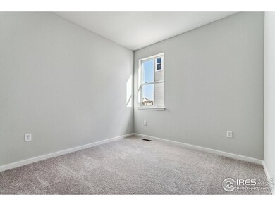 866 Mesic Ln, Windsor, CO 80550 - photo 7