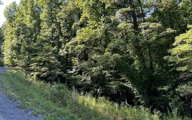 Additional View