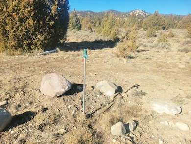 1872 S Liberty Dr, Hatch, UT 84735 - photo 7