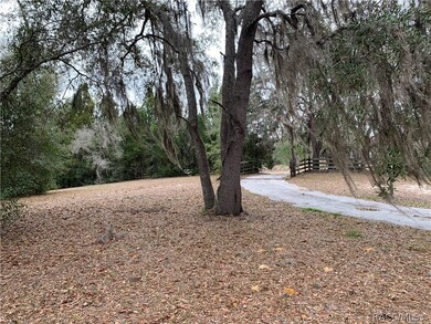 3350 N Page Ave, Hernando, FL 34442 - photo 3