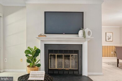 14217 Quail Creek Way unit 103, Sparks Glencoe, MD 21152 - photo 7