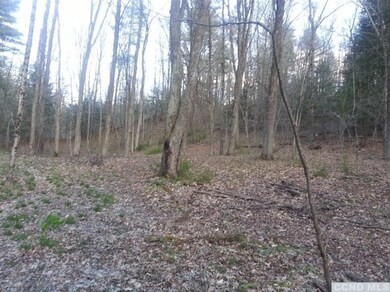 811 van Hoesen Rd, Castleton On Hudson, NY 12033 - photo 6