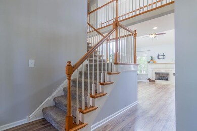 Another angle of  the stairs going up to the second floor and notice the cat walk.  You can see the entire downstairs from up here but watch your boys because many toys will end up thrown over the railing.