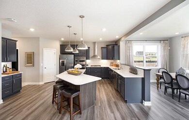Kitchen & dining are spectacular - a morning room,