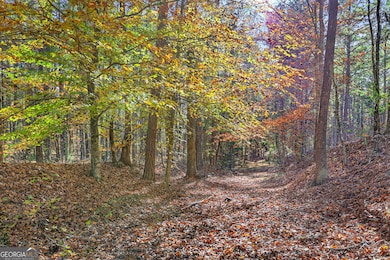 11.62+/- AC New Franklin Rd, Hogansville, GA 30230 - photo 7