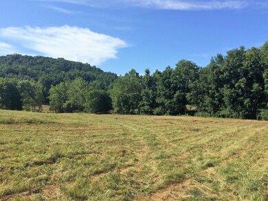 30 Ac. - Borden Grant Trail unit 706, Fairfield, VA 24435 - photo 4