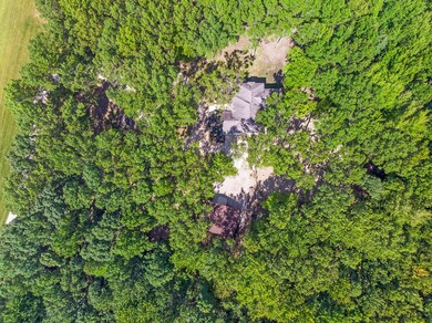 Aerial Shot.4