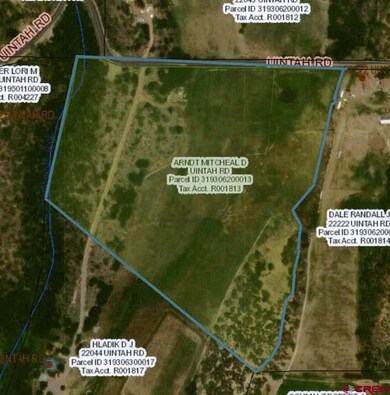 0 Uintah Rd unit 754046, Cedaredge, CO 81413 - photo 2