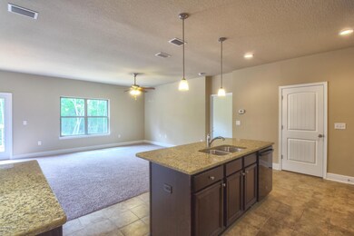 Kitchen/Living Space