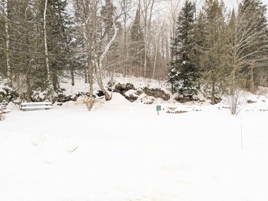 1181 E Hill Rd, Peacham, VT 05821 - photo 4