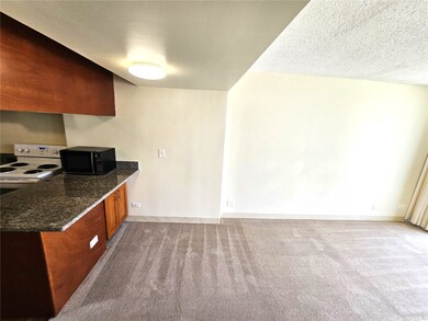 The Hausten unit 905, Honolulu, HI 96826 - photo 6