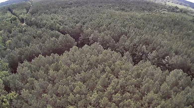 0 Moody Rd, Minden, LA 71055 - photo 3