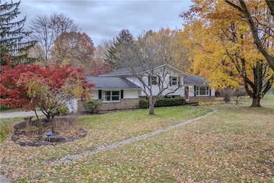 698 Albert Horning Rd, Atwater, OH 44201 - photo 2